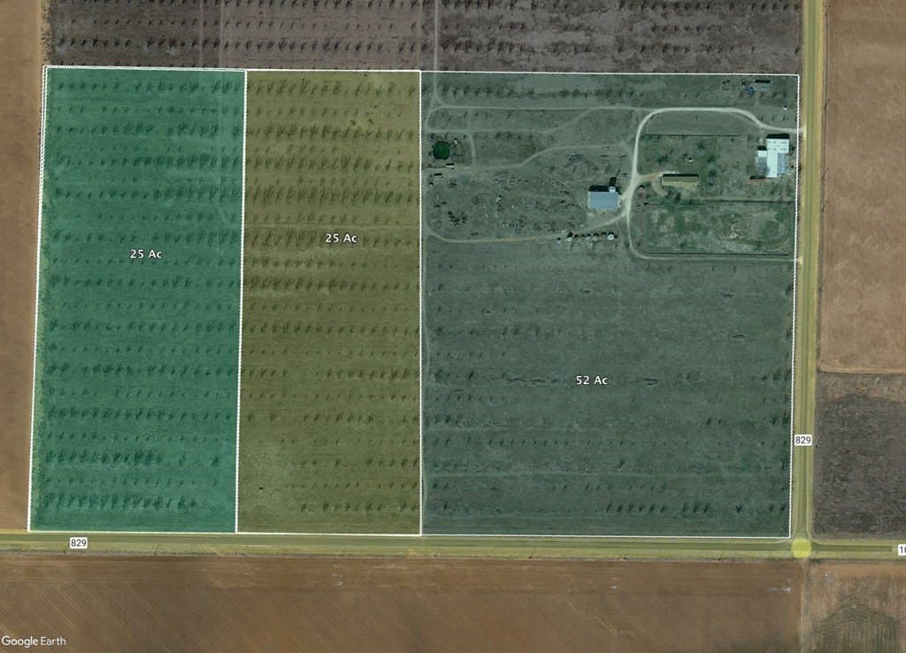 52 acres in Dawson County gallery image 3