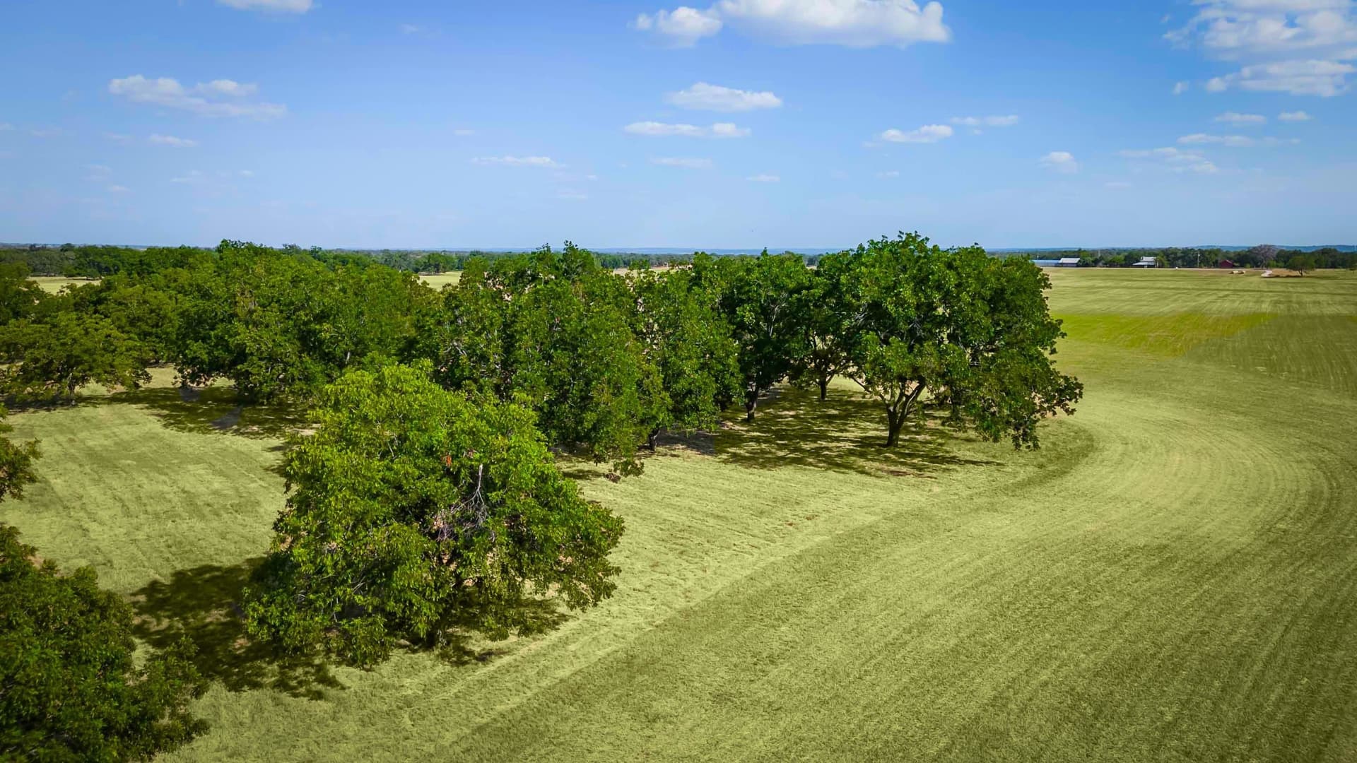 12.31 acres in Gillespie County featured view