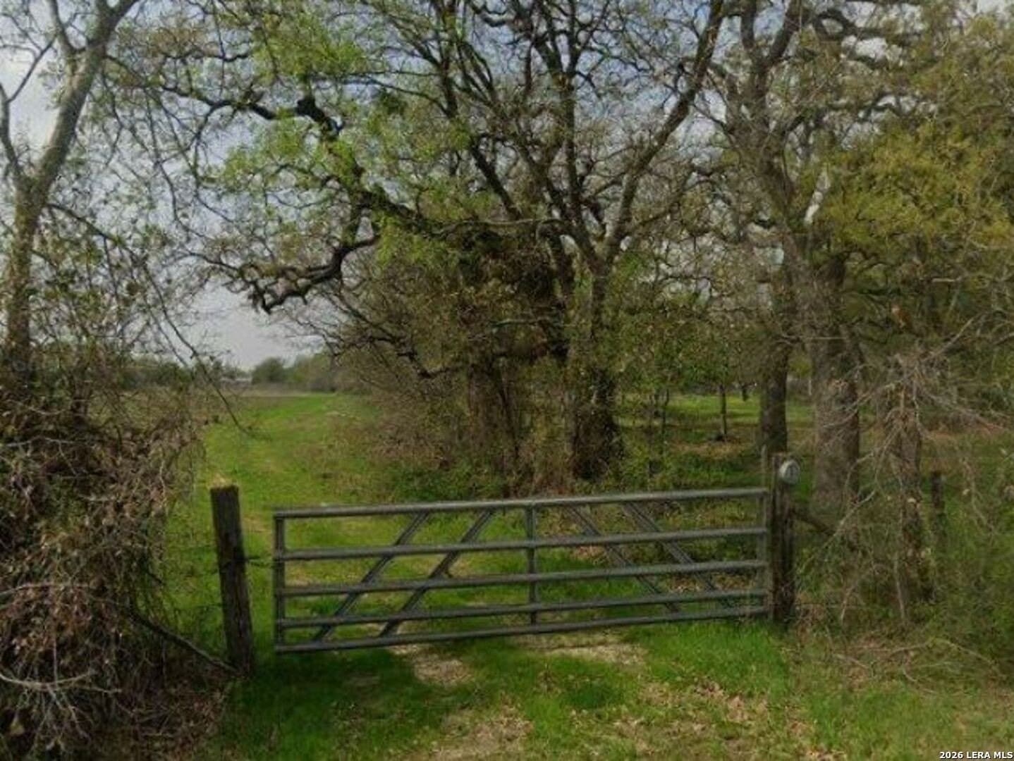 150.54 acres in Falls County gallery image 2