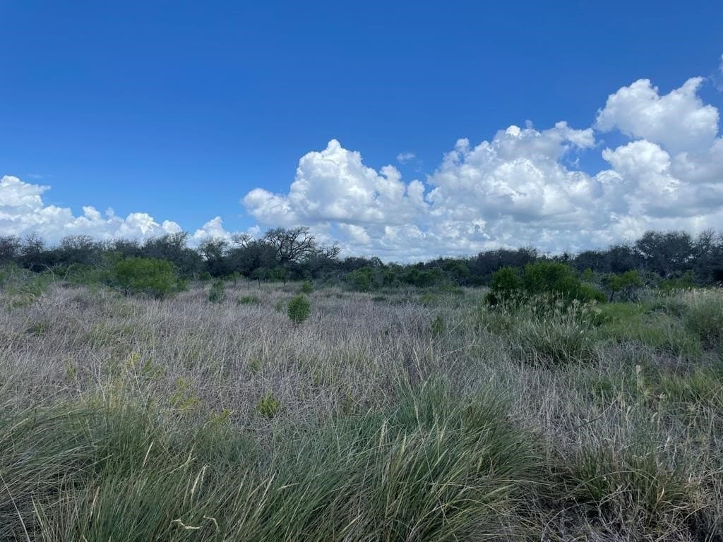 12.16 acres in Aransas County featured view