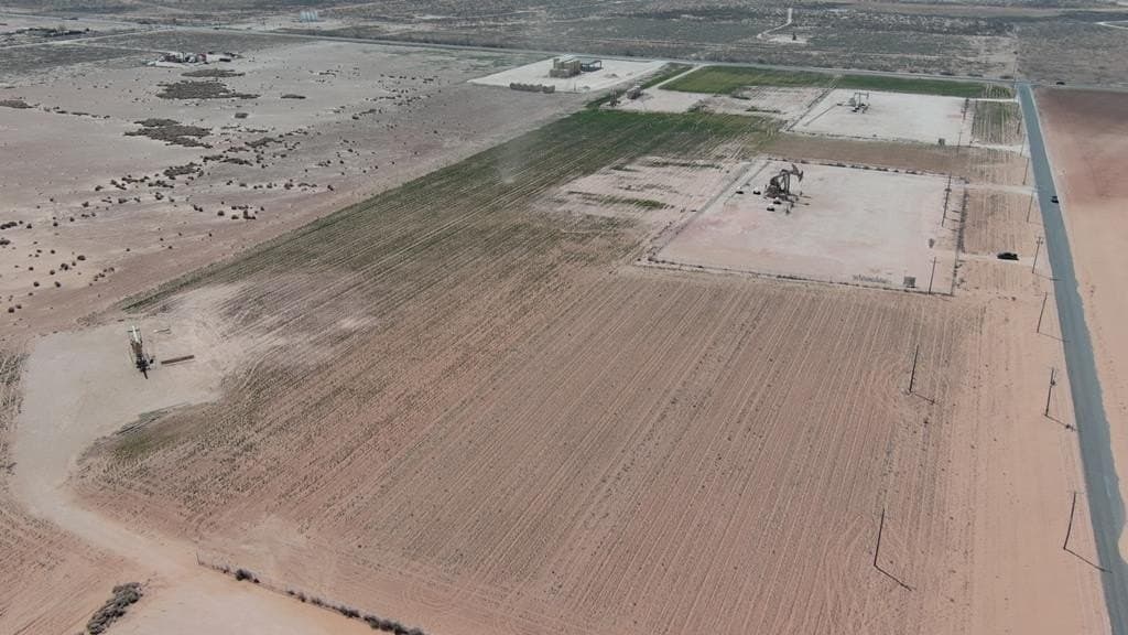 44 acres in Martin County - photo 12