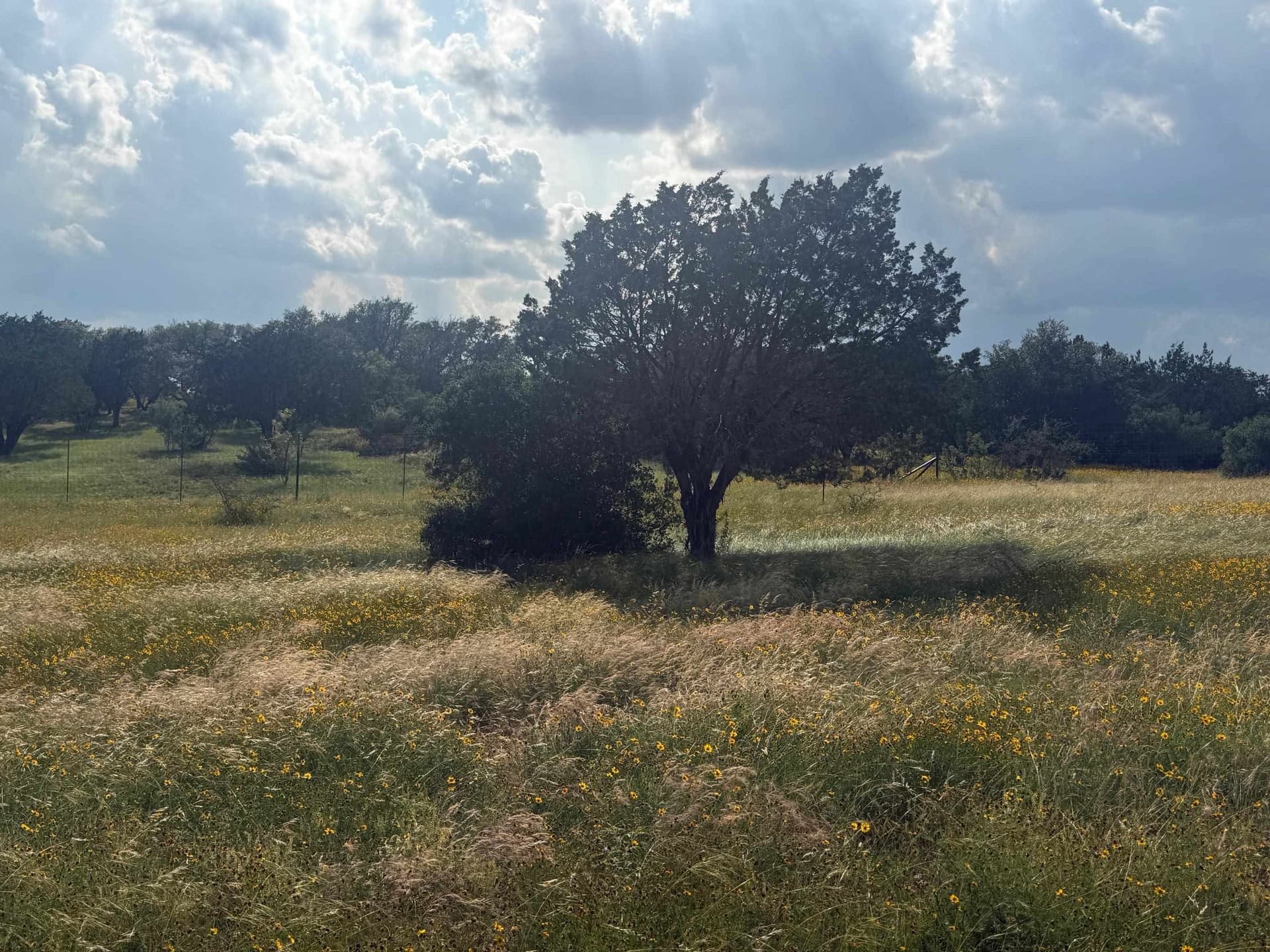 0.12 acres in Llano County gallery image 3