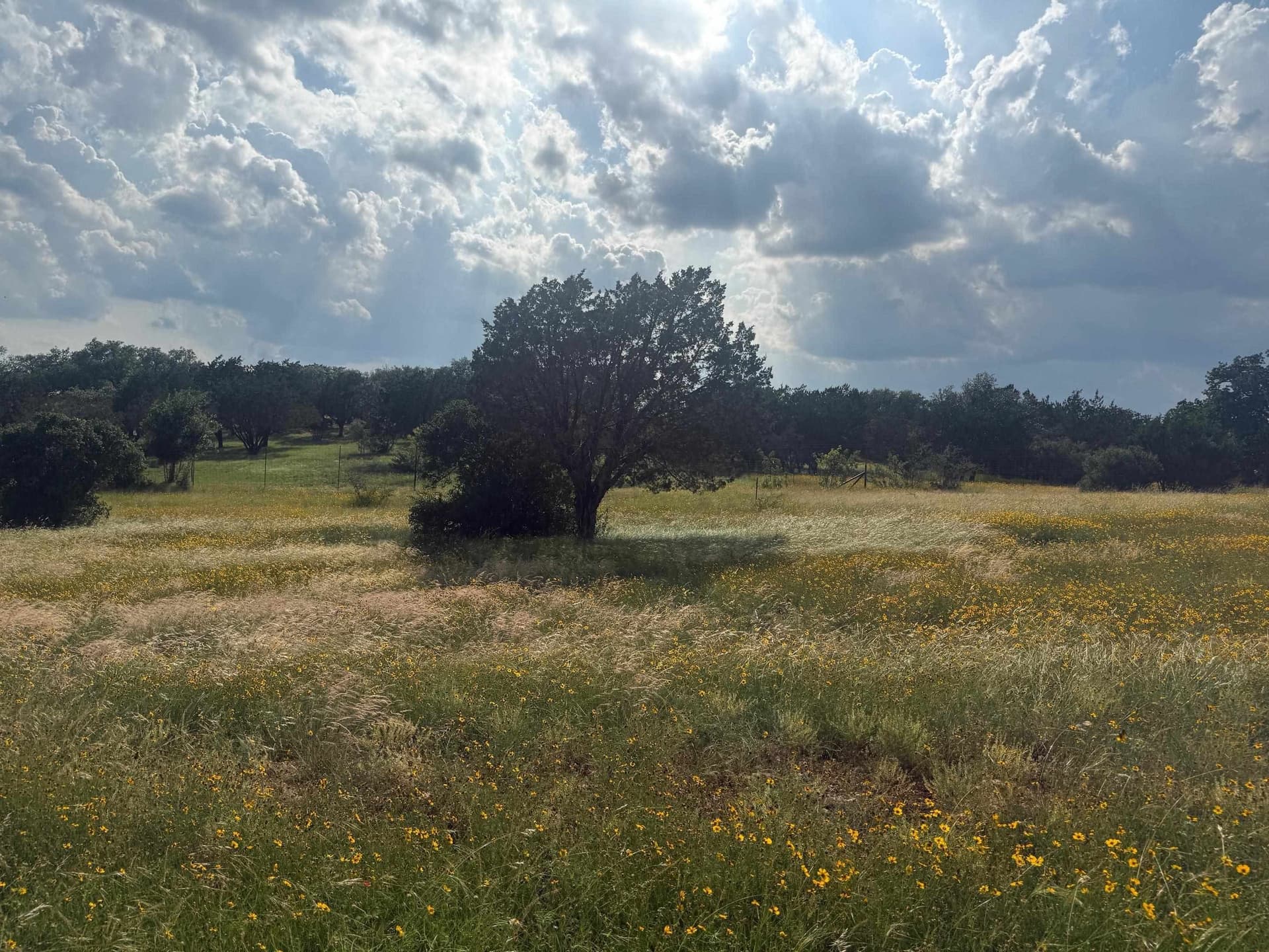 0.12 acres in Llano County gallery image 2