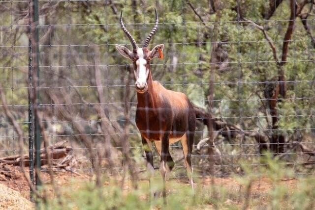 347 acres in Mitchell County - photo 92