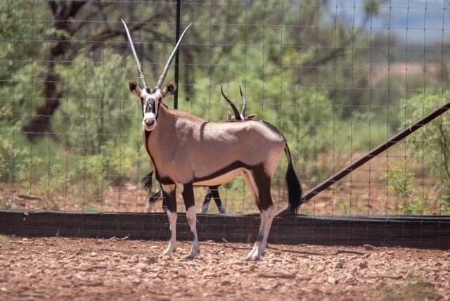 347 acres in Mitchell County - photo 122
