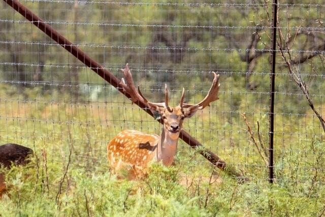 347 acres in Mitchell County - photo 101