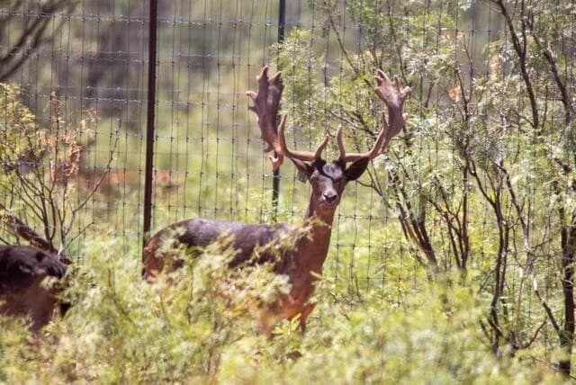 347 acres in Mitchell County - photo 121