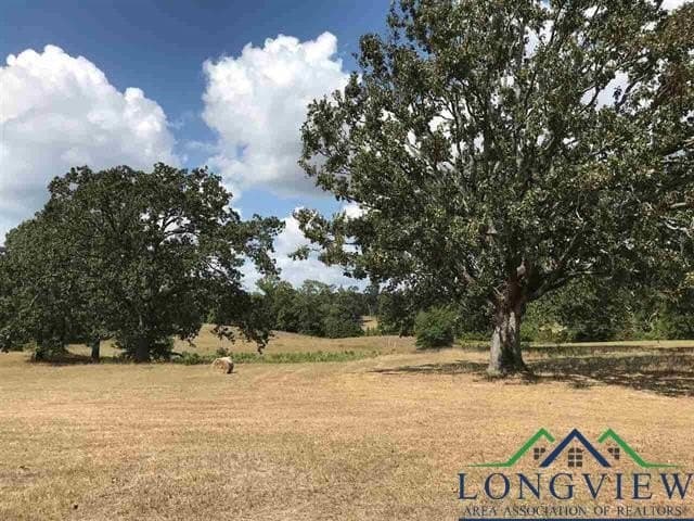 2.71 acres in Upshur County gallery image 4