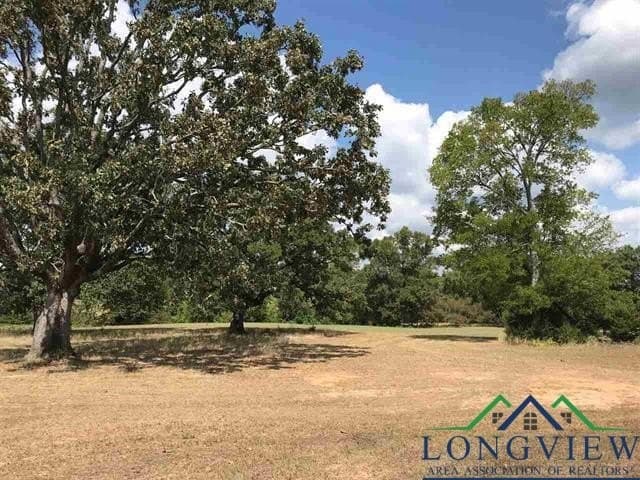 2.71 acres in Upshur County gallery image 2