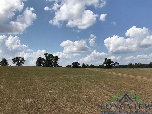 2.71 acres in Upshur County gallery image 3