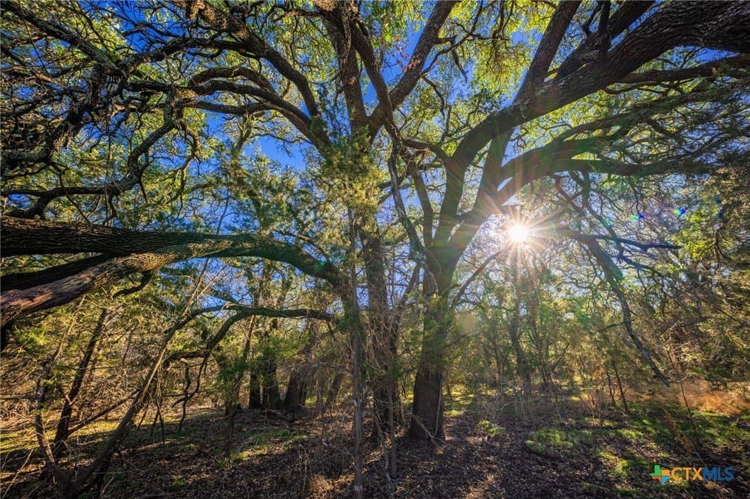 155 acres in Lampasas County - photo 39