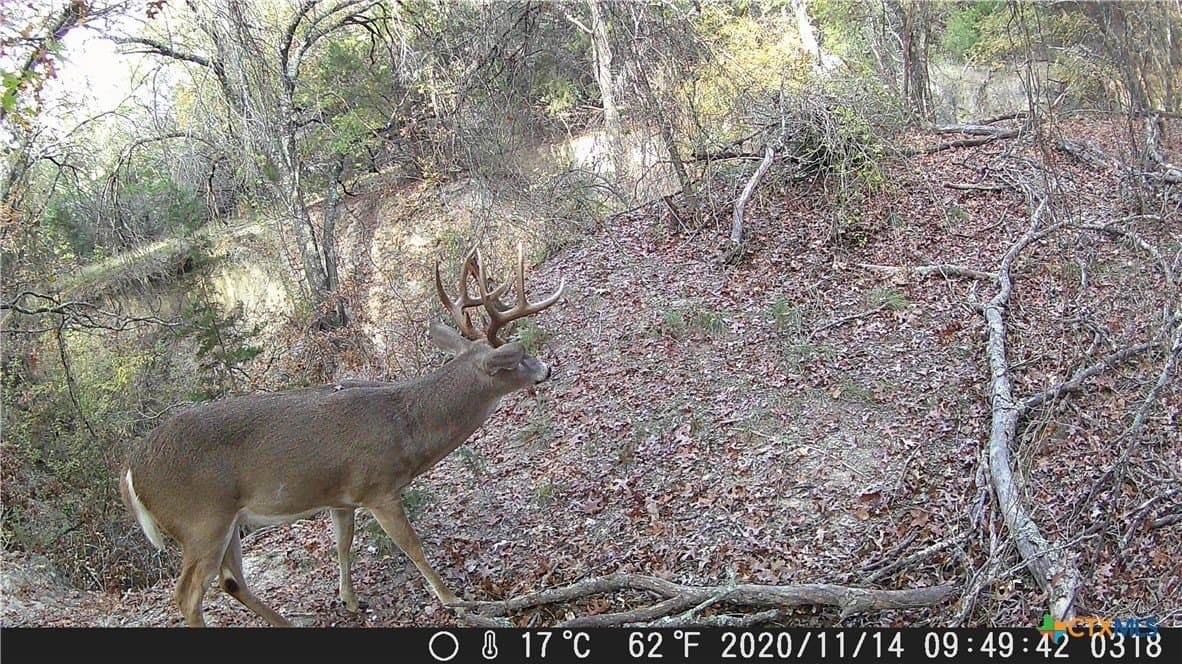 155 acres in Lampasas County - photo 34