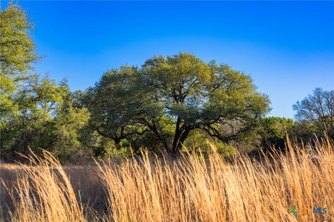 155 acres in Lampasas County - photo 32