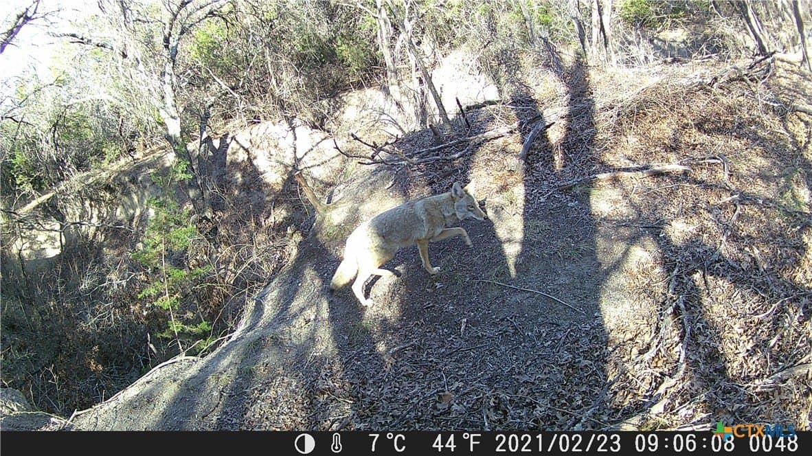 155 acres in Lampasas County - photo 36