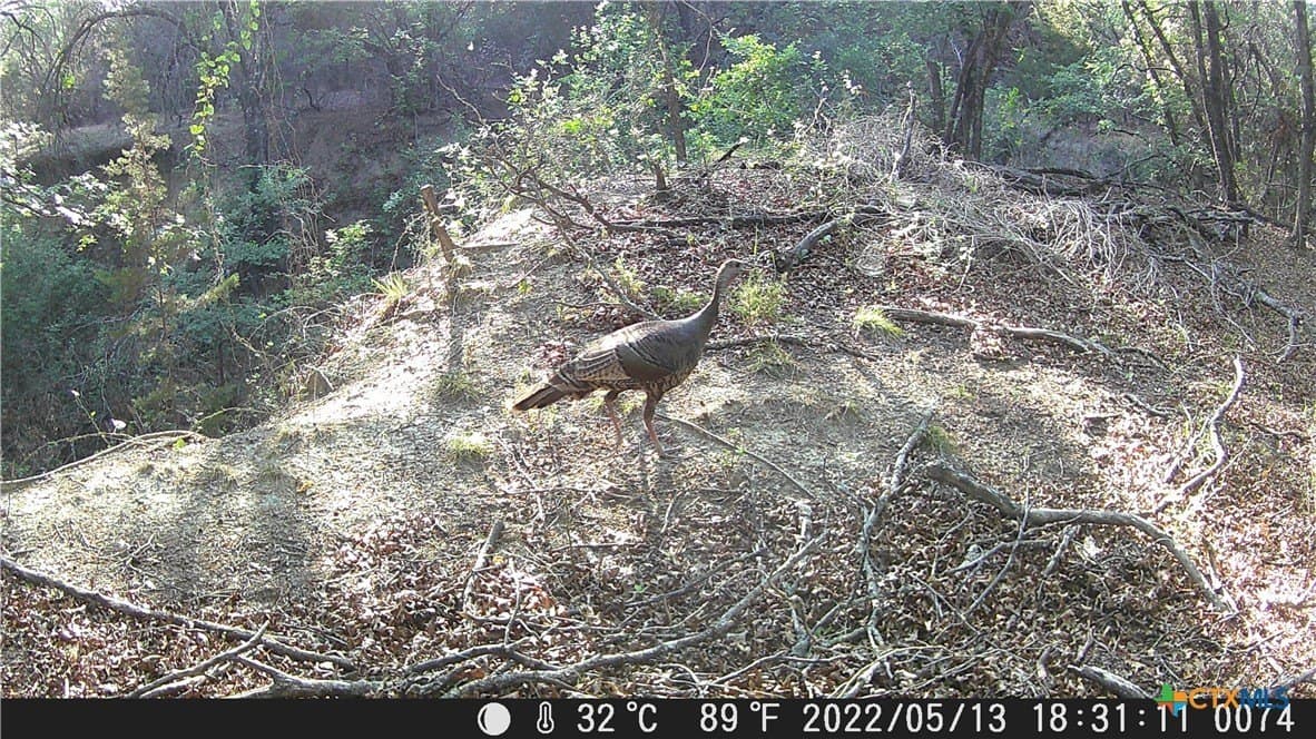 155 acres in Lampasas County - photo 35