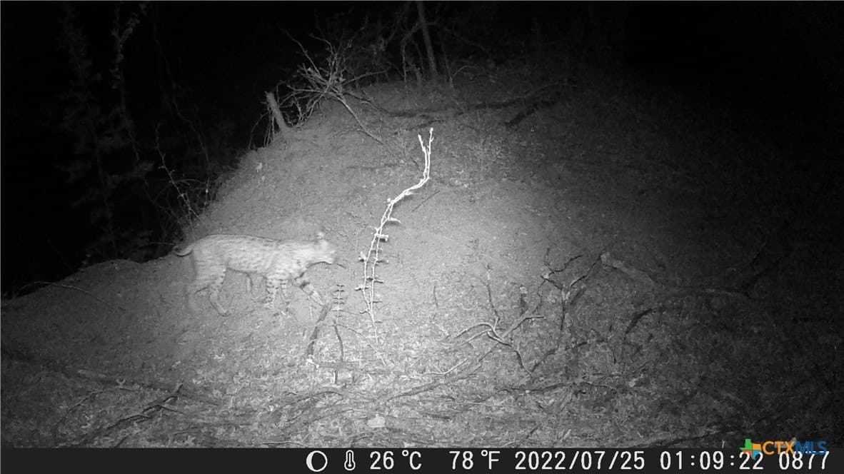 155 acres in Lampasas County - photo 37