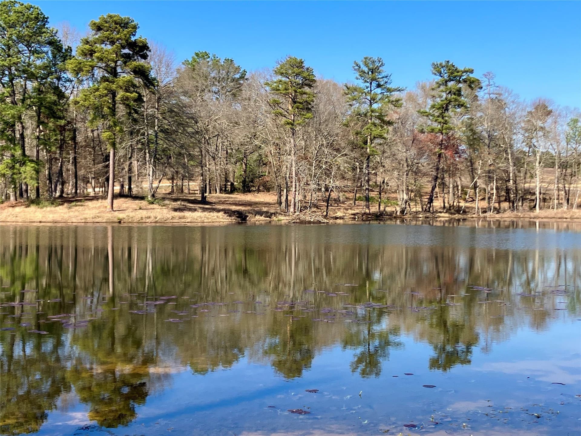 2.08 acres in Upshur County - photo 12