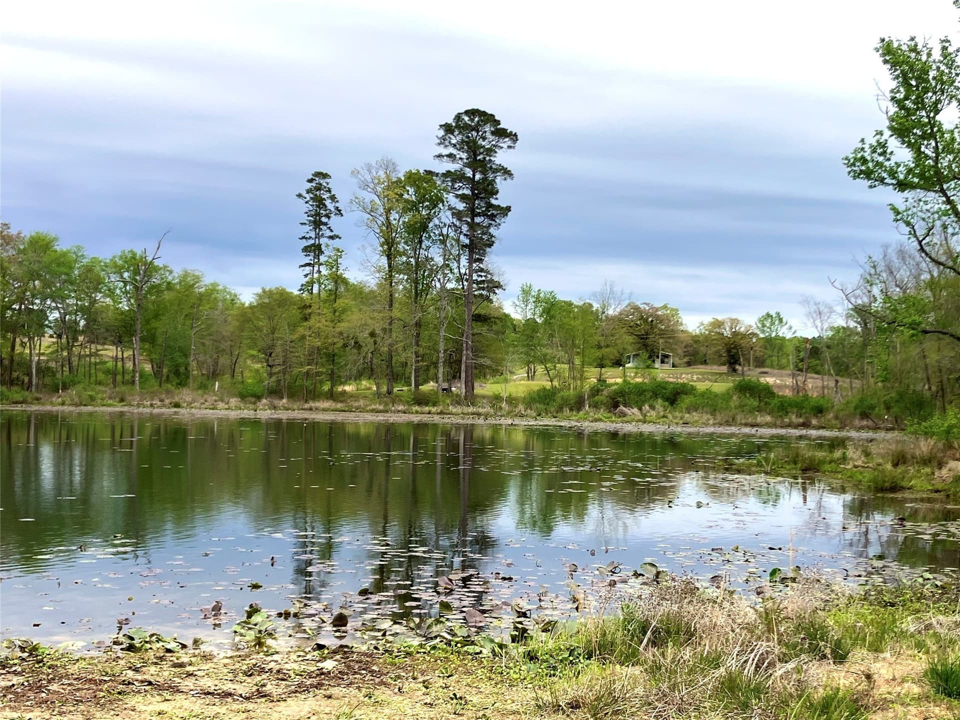 2.08 acres in Upshur County - photo 9