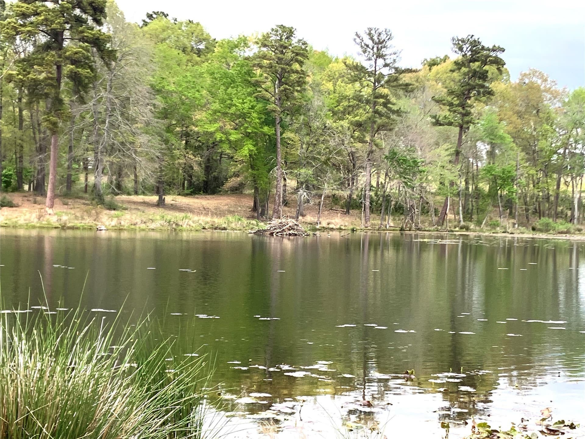 2.08 acres in Upshur County - photo 6
