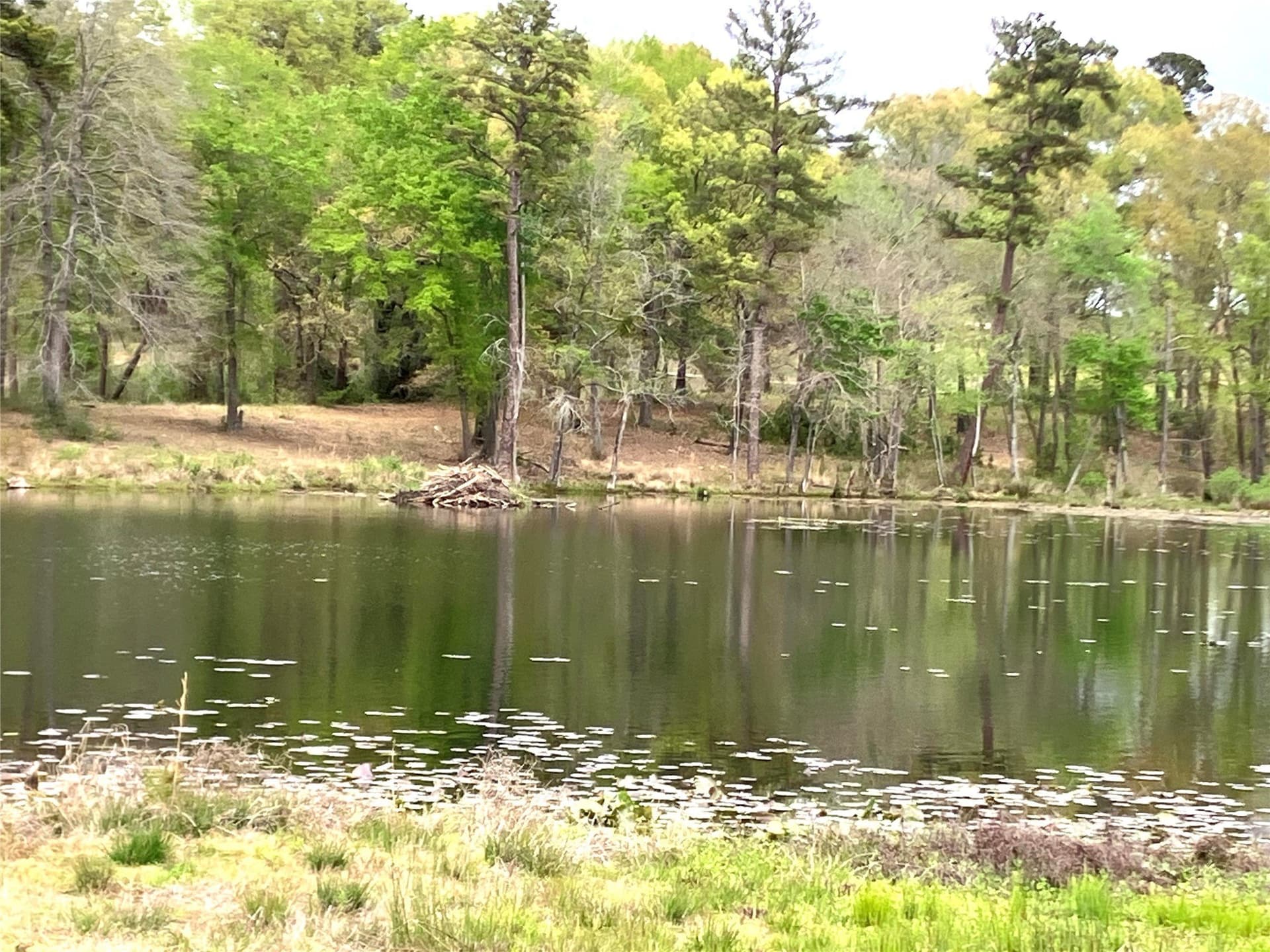 2.08 acres in Upshur County - photo 8