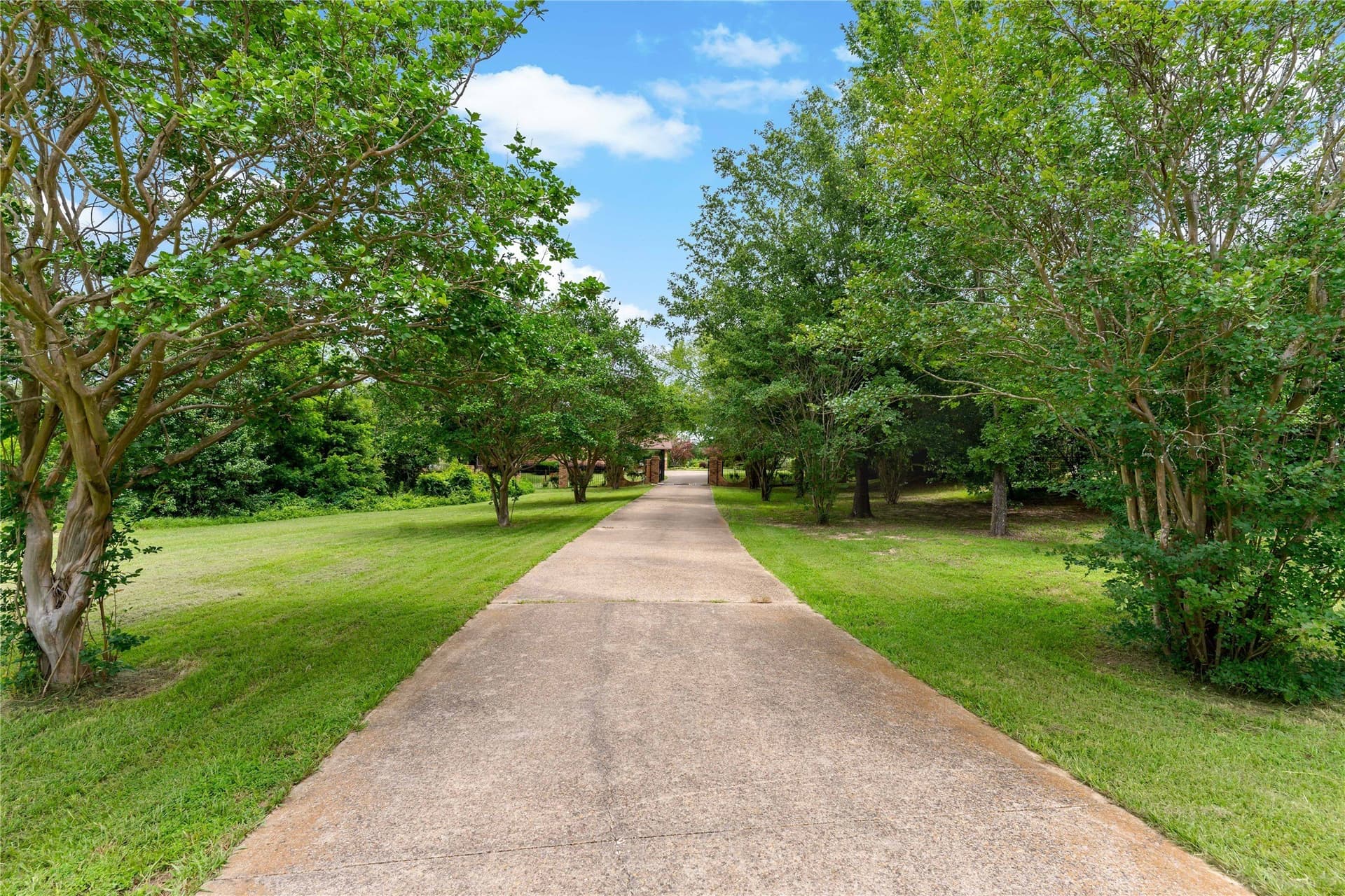 28.56 acres in Van Zandt County gallery image 3