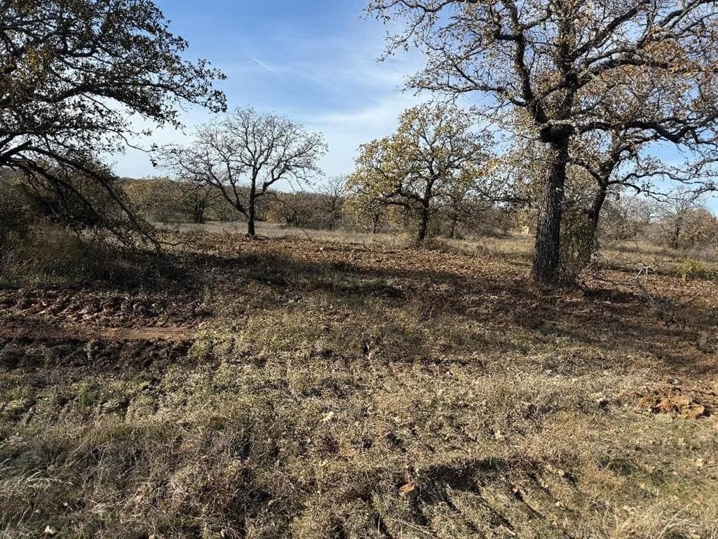 10.01 acres in Jack County gallery image 4