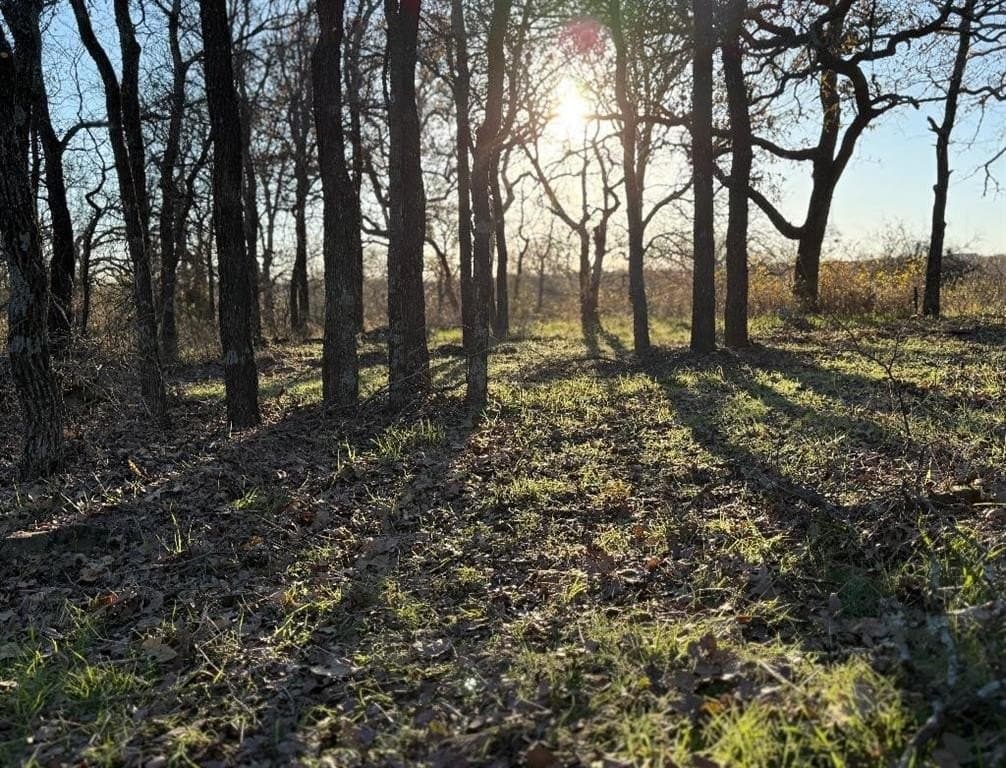 10.01 acres in Jack County gallery image 2