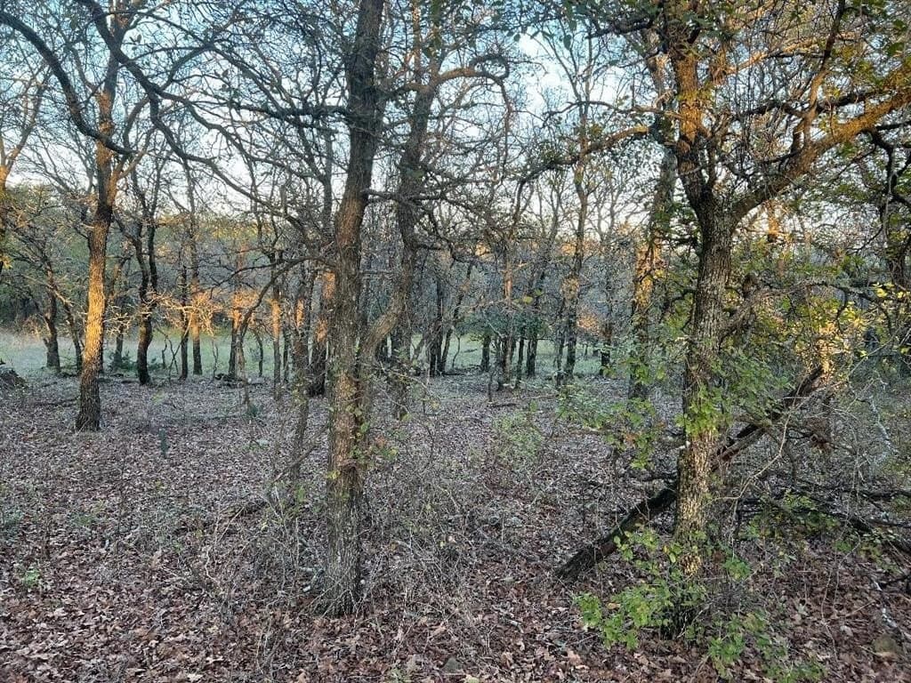 10.01 acres in Jack County featured view