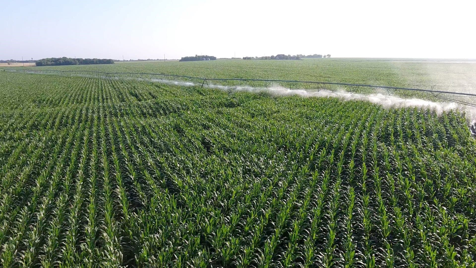2,125 acres in Lamar County - photo 3