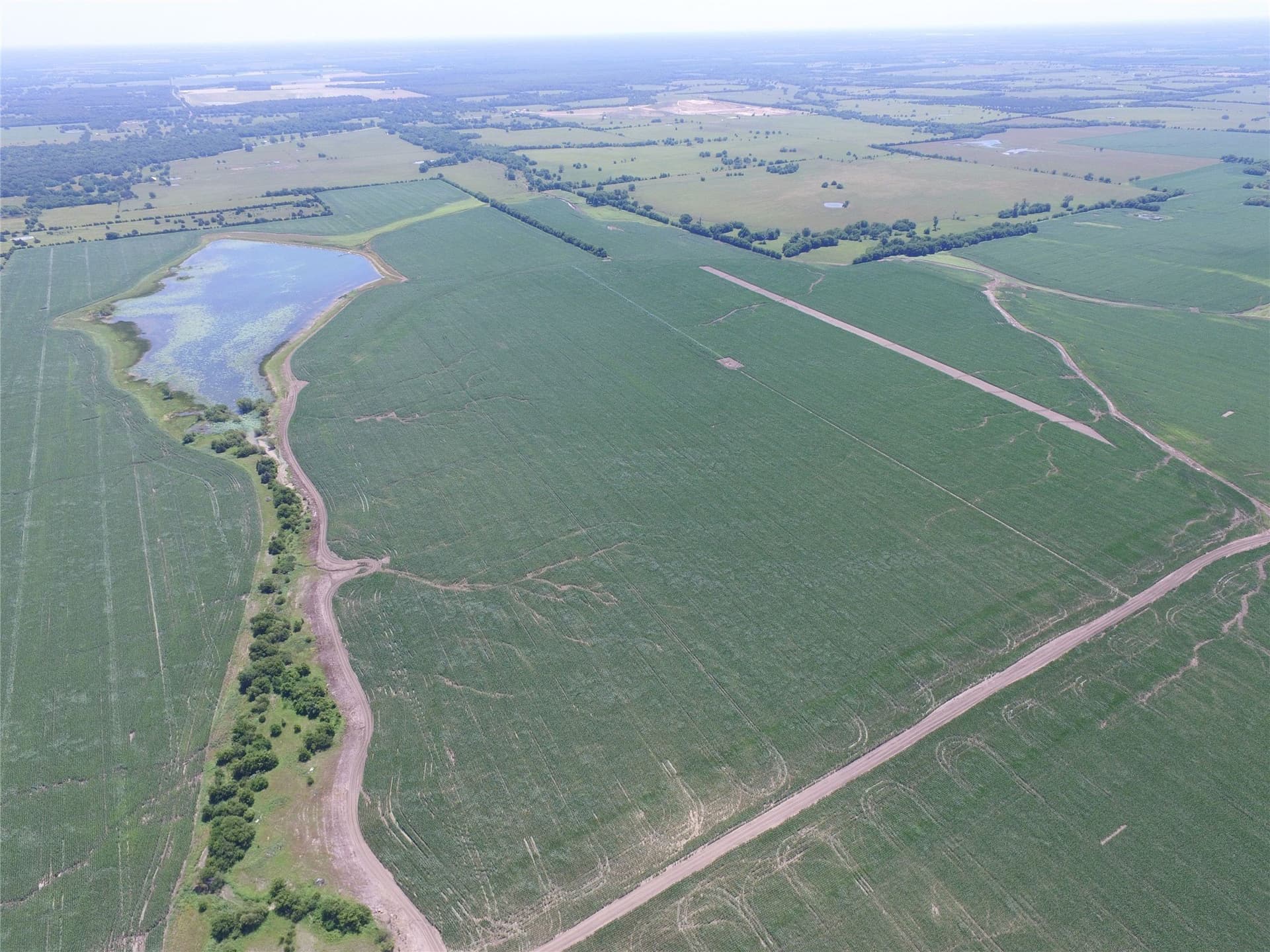 2,125 acres in Lamar County - photo 33