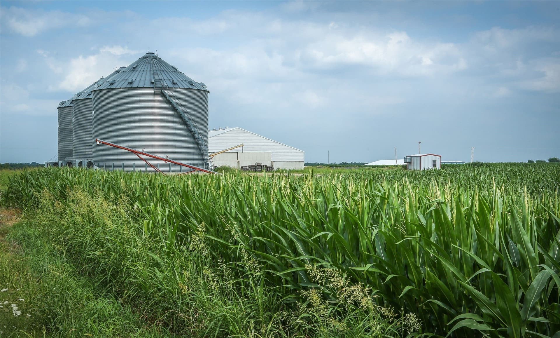 2,125 acres in Lamar County