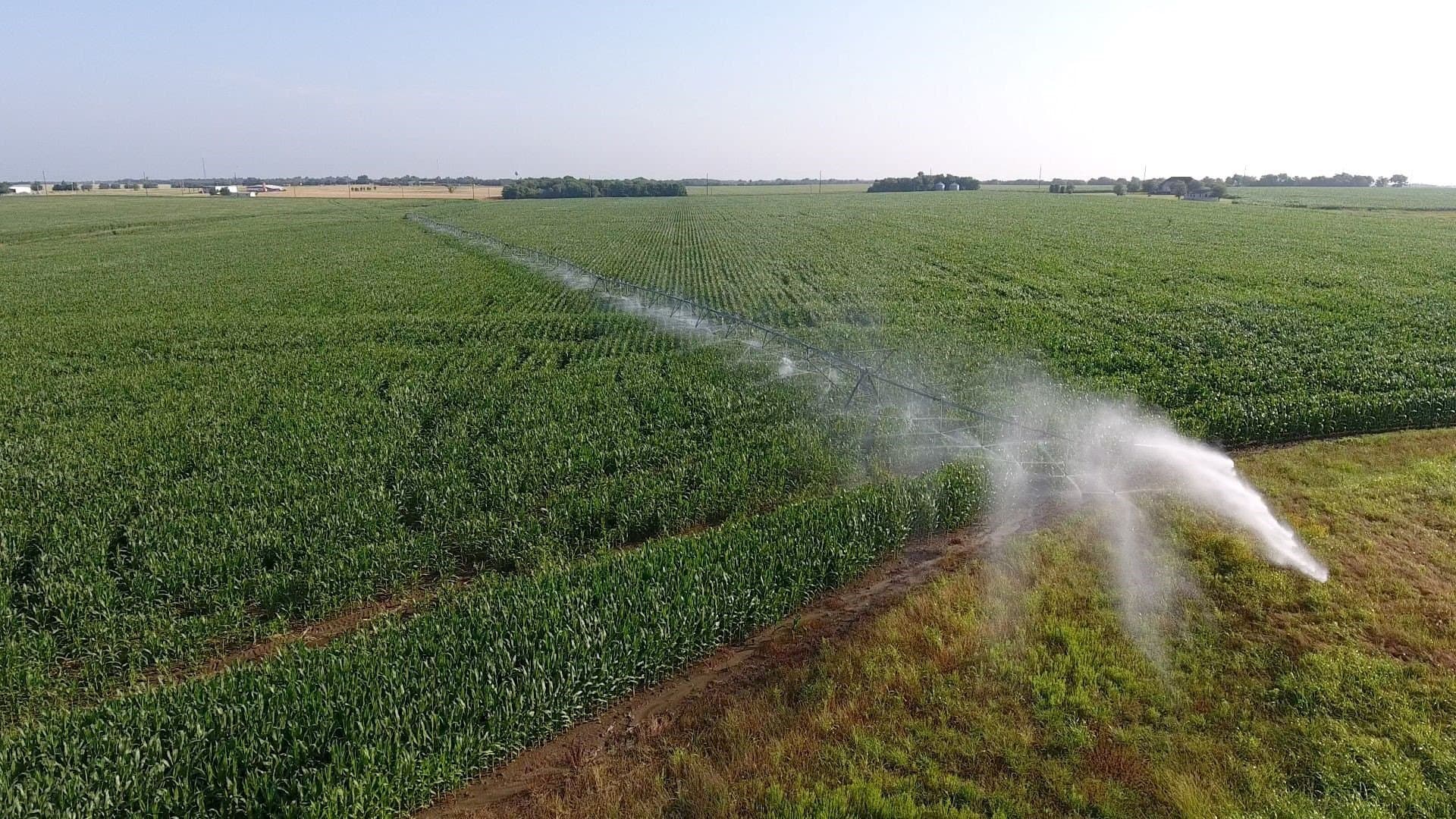 2,125 acres in Lamar County - photo 25