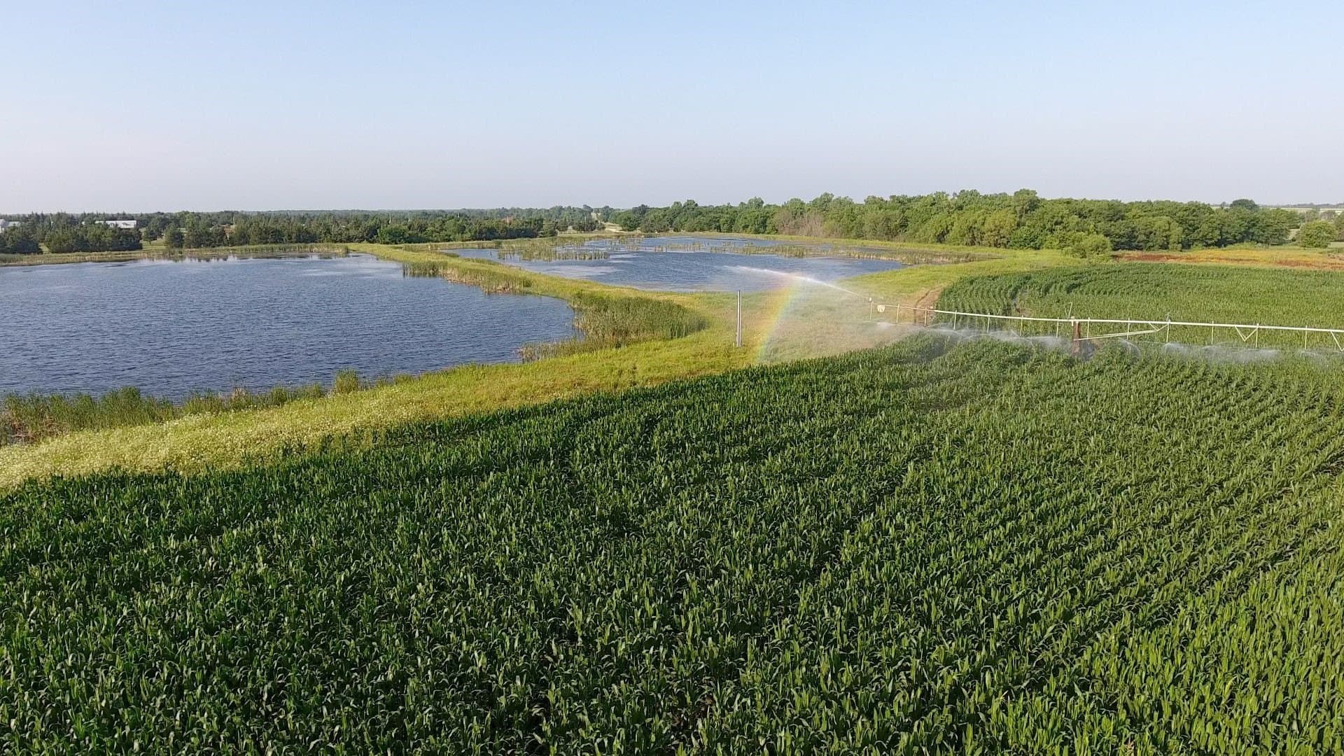 2,125 acres in Lamar County - photo 37