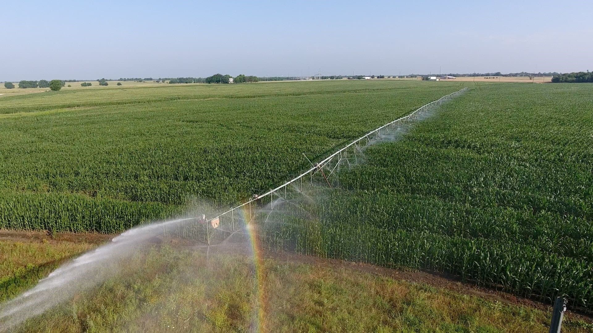 2,125 acres in Lamar County - photo 6