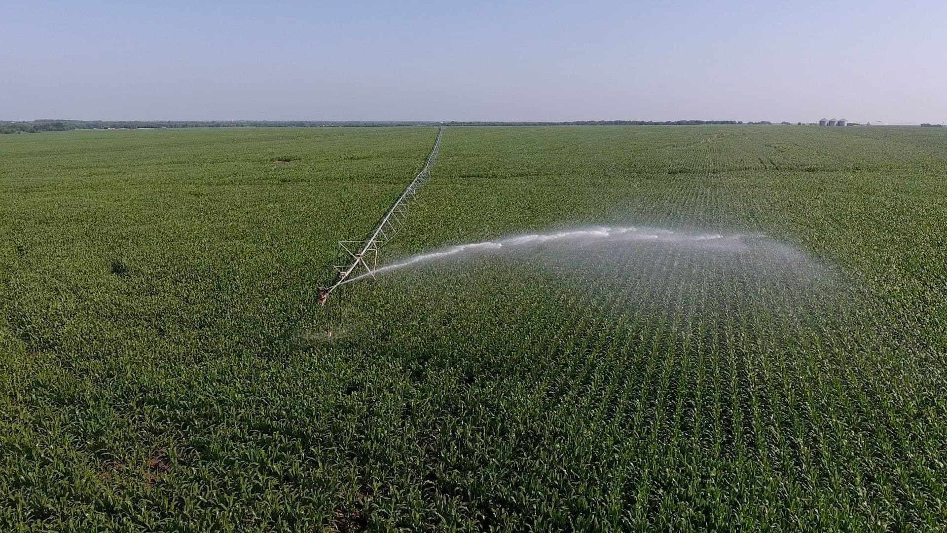 2,125 acres in Lamar County - photo 34
