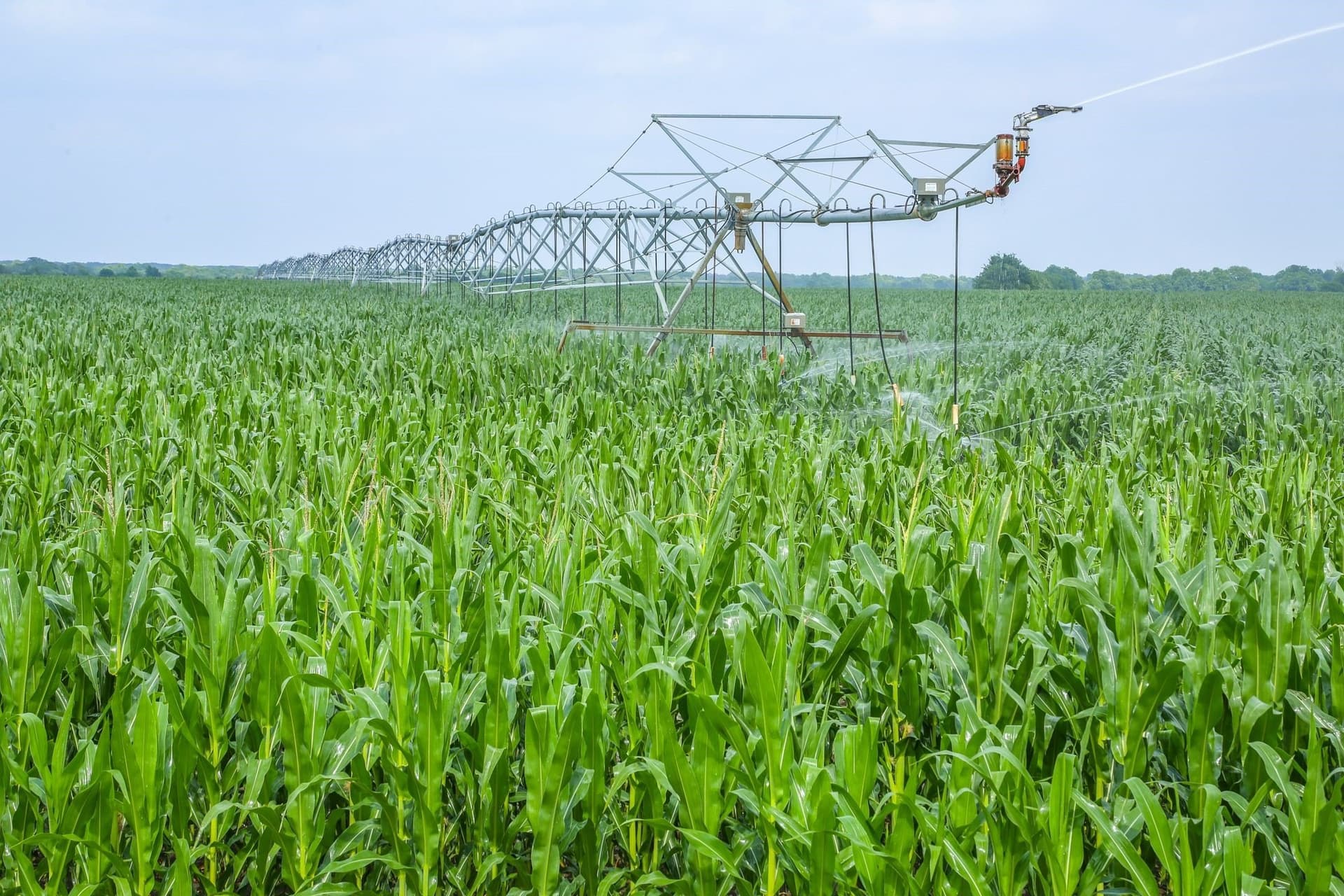 2,125 acres in Lamar County - photo 2