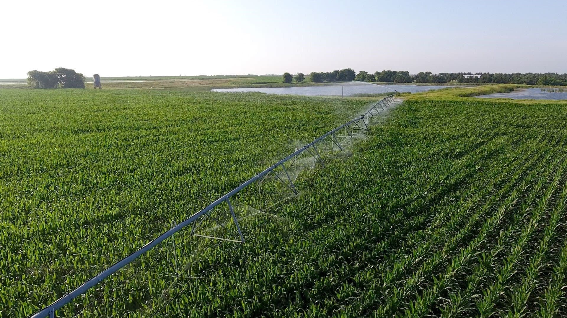 2,125 acres in Lamar County - photo 36
