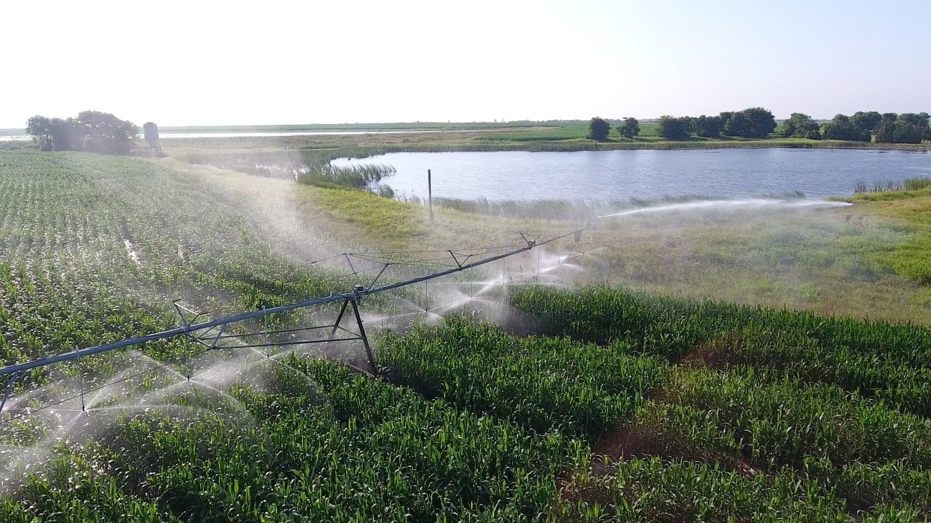 2,125 acres in Lamar County - photo 29