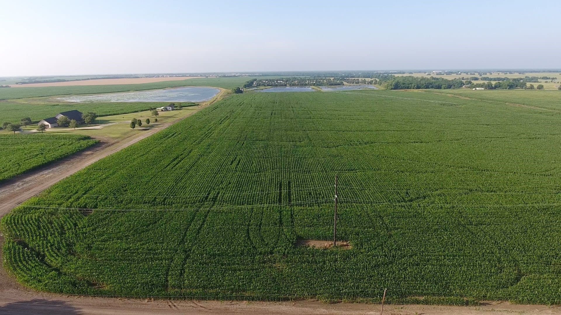2,125 acres in Lamar County - photo 38