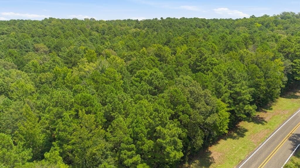 15 acres in Texas County - photo 8