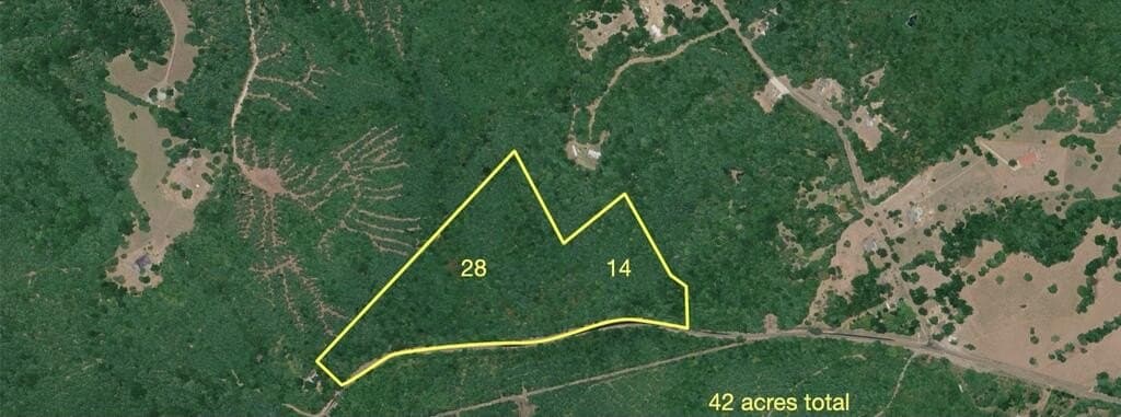 15 acres in Texas County - photo 4