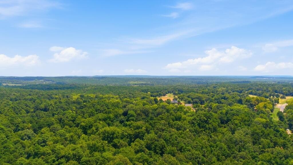 15 acres in Texas County - photo 5