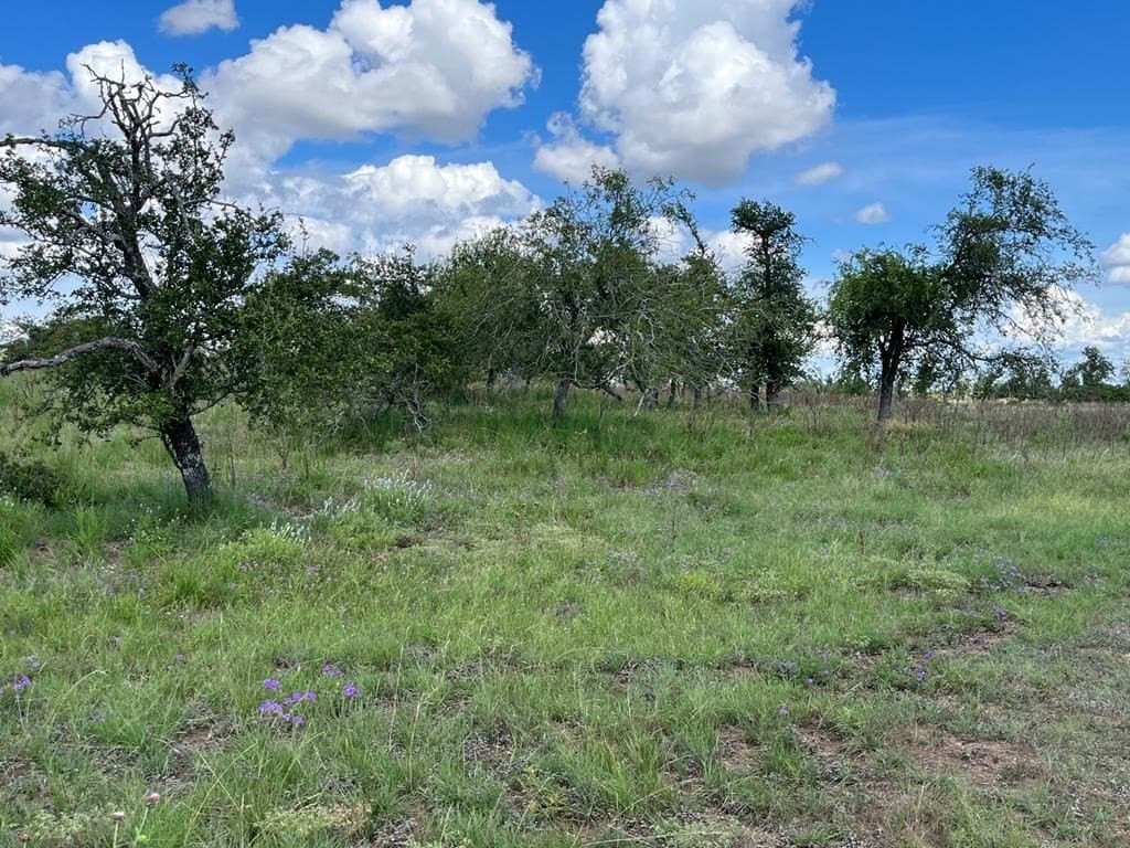 10.1 acres in Gillespie County - photo 14