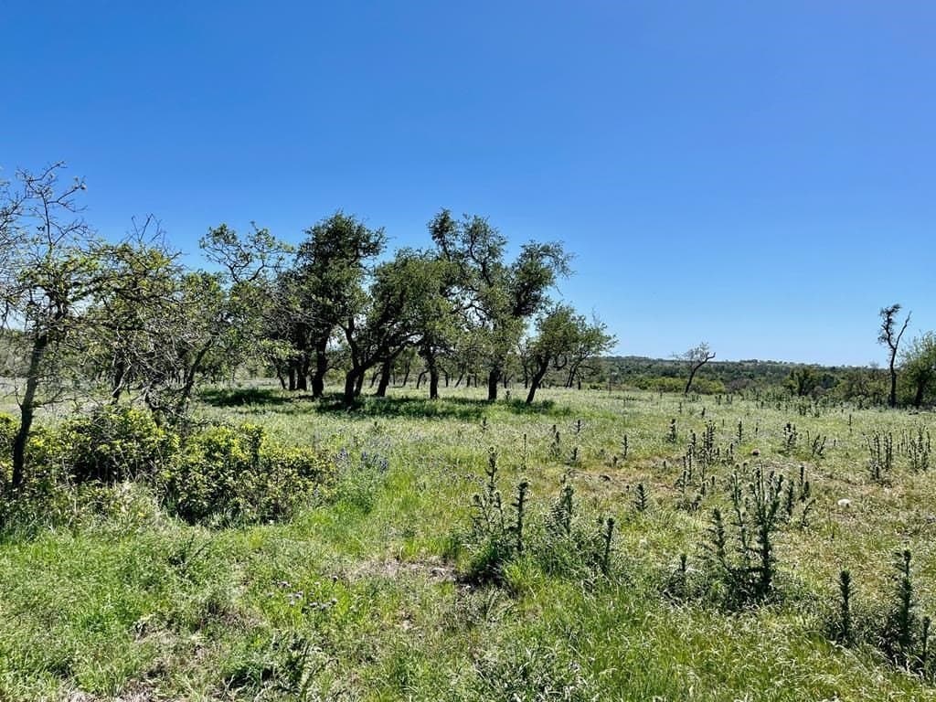 10.1 acres in Gillespie County - photo 9