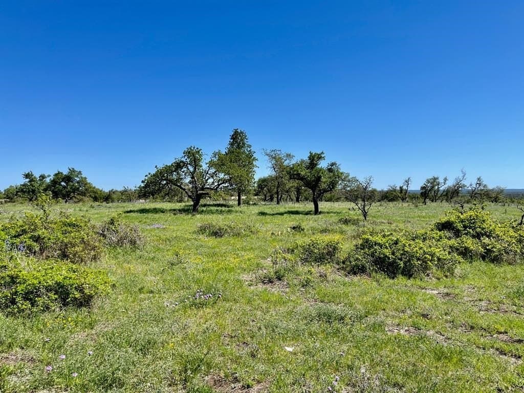 10.1 acres in Gillespie County - photo 6