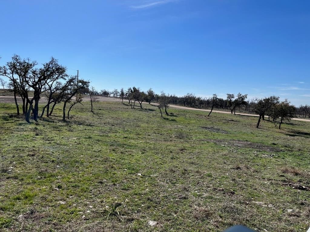 10.1 acres in Gillespie County - photo 11