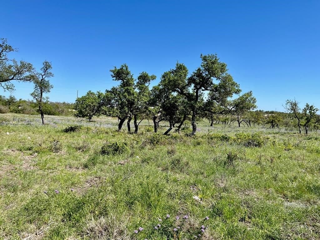 10.1 acres in Gillespie County gallery image 2