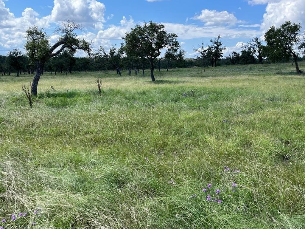10.1 acres in Gillespie County - photo 13