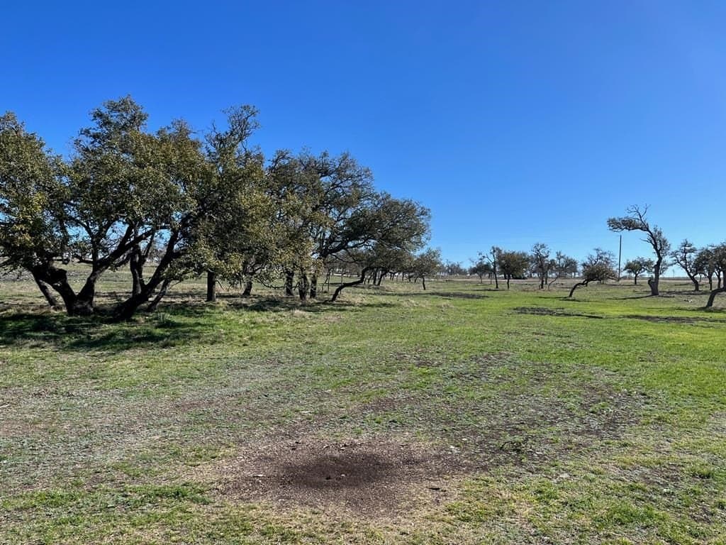 10.1 acres in Gillespie County - photo 10