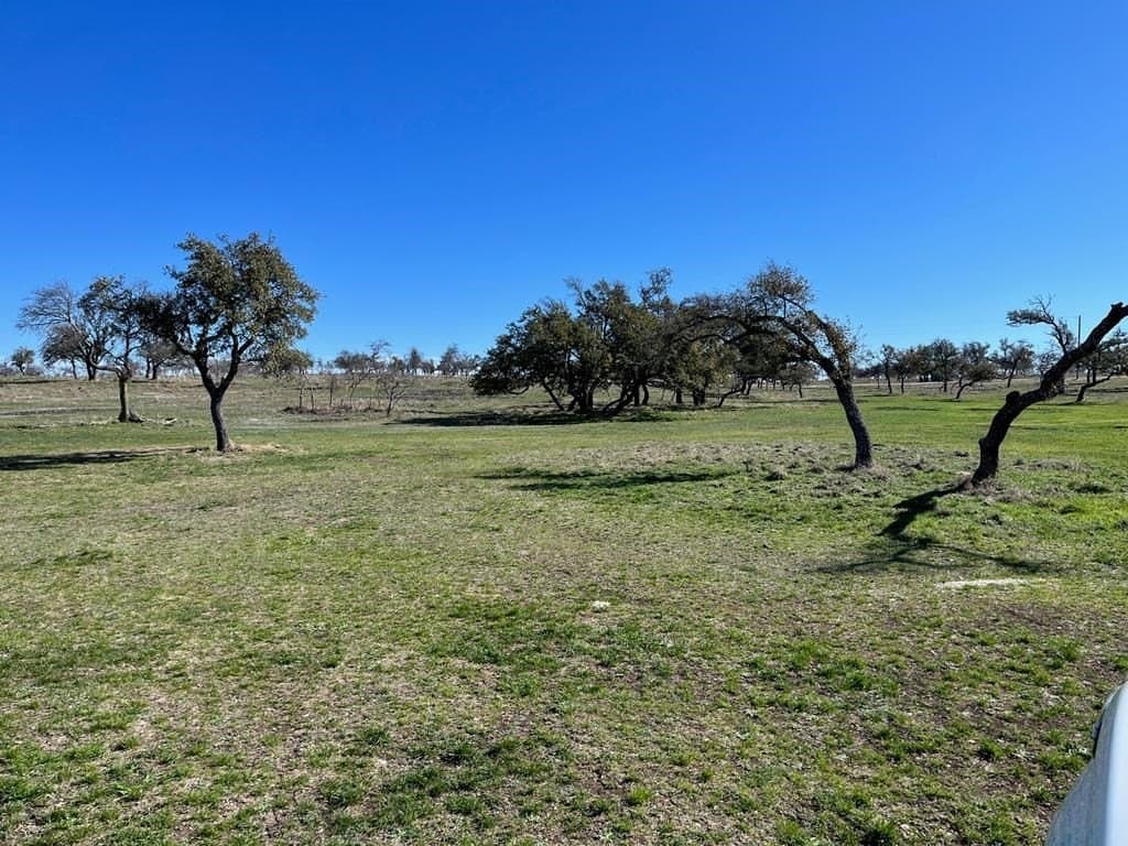 10.1 acres in Gillespie County - photo 8